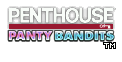 Panty Bandits